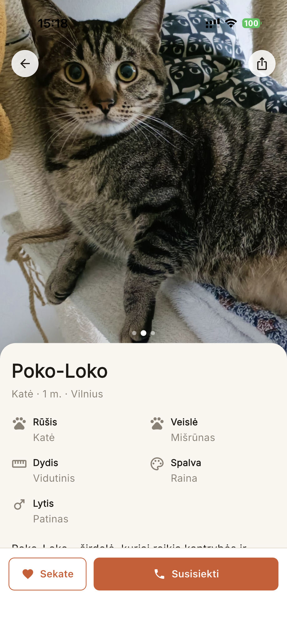 Lookì gyvūno profilis su informacija ir kontaktais